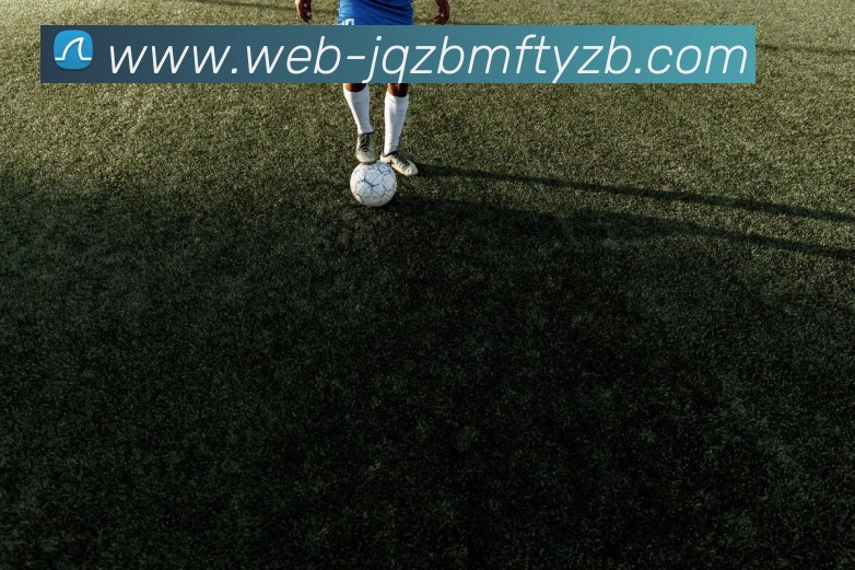 九球体育直播平台生态图