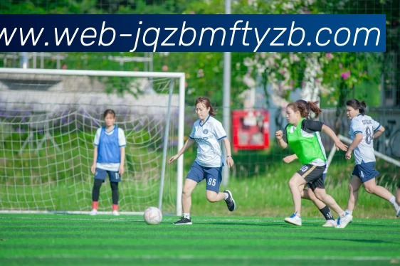 九球体育直播全站App